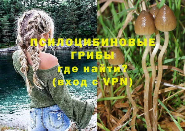 прущий лед Алексеевка