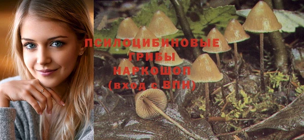 прущий лед Алексеевка