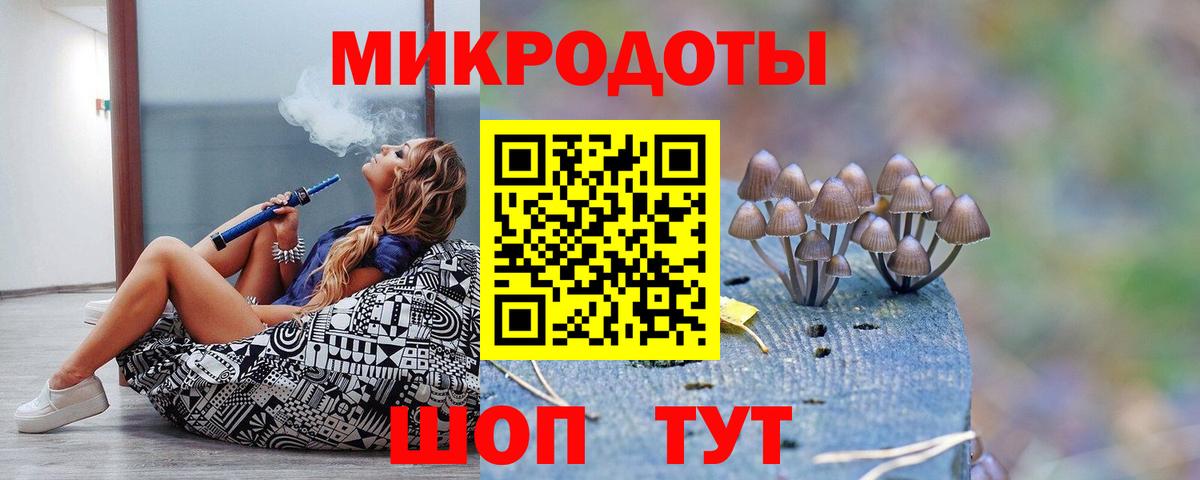 Галлюциногенные грибы Cubensis Карабулак