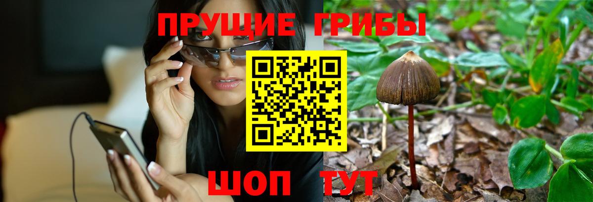 Галлюциногенные грибы MAGIC MUSHROOMS  Вход с VPN  Карабулак 